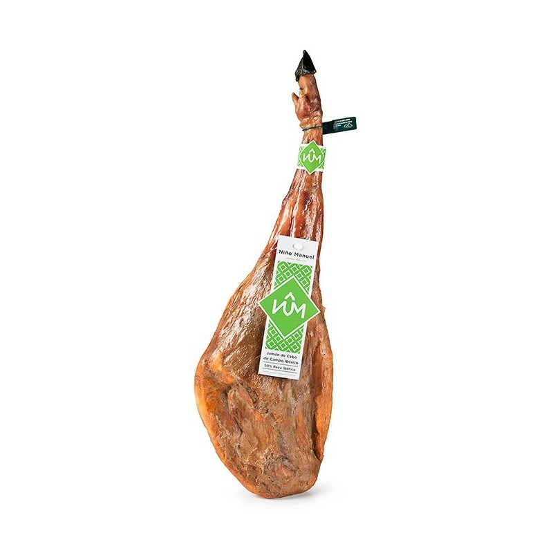 Comprar Jamón De Cebo Ibérico 50% Raza ibérica Rivera 7-7,5 kgs + jamonero  - Jabugo, Extremadura, Guijuelo