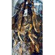 Jamón de Jabugo (6 a 6.5Kg) 4b