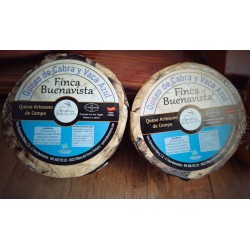 QUESO DE CABRA Y VACA AZUL