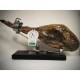 Jamón ibérico de Jabugo (7,5 a 8Kg) "CEBO DE CAMPO"